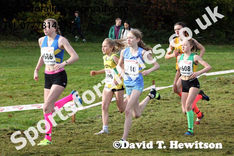 Girls under-13s National Cross Country Relay, Berry Hill Park, Mansfield. Photo:  David T. Hewitson/Sports for All Pics